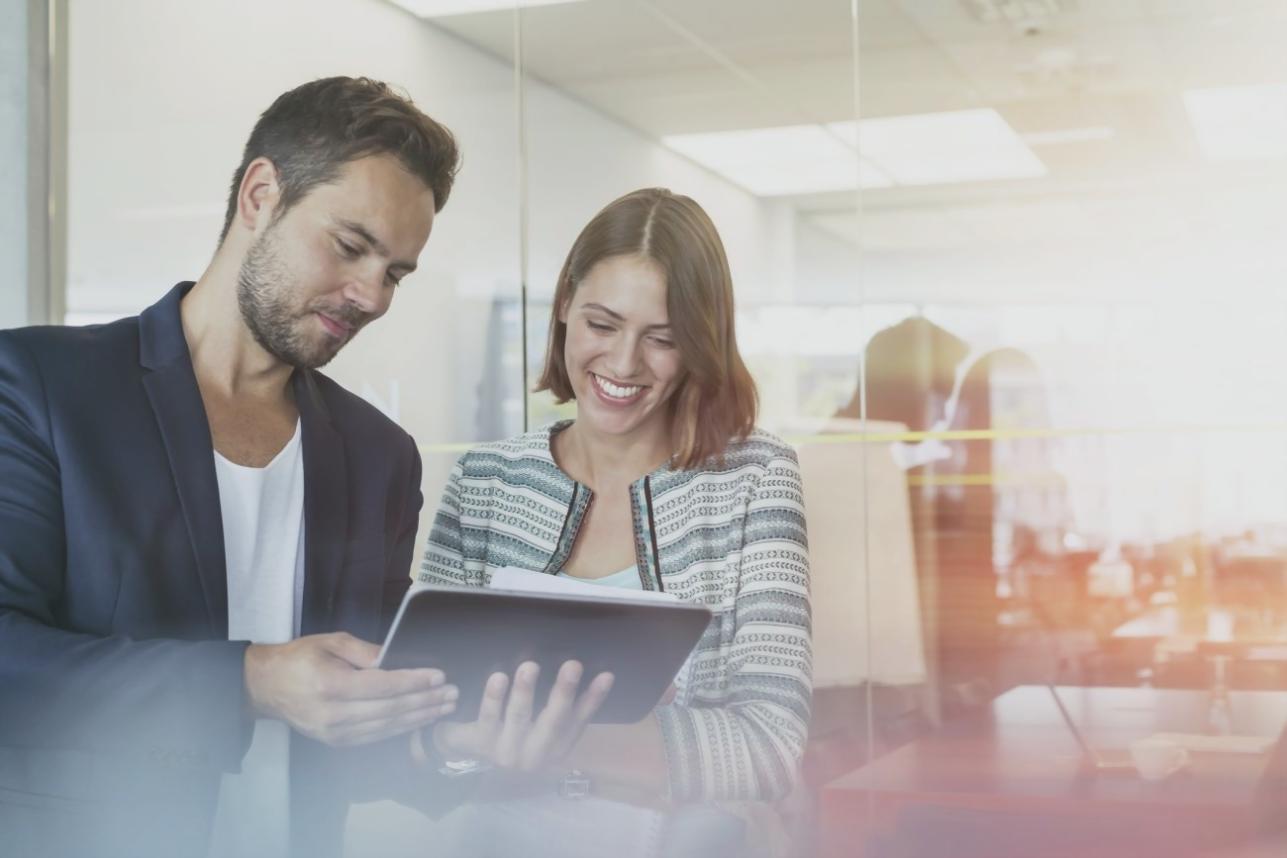 Professional testing documentation and standards review